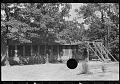 8a07197u.jpg