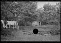 8a07271u.jpg